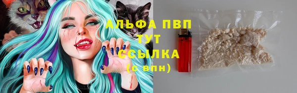 jwh Богородицк