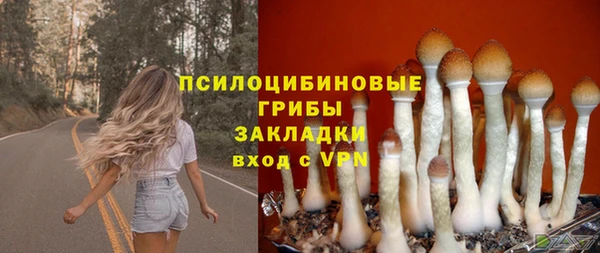 кокс Бородино